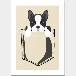 Pocket Boston Terrier Posters and Art